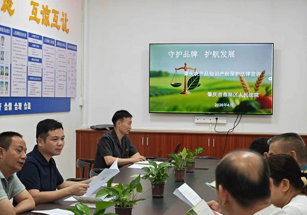 司法护农促发展 知产护航助振兴——鼎湖区法院开展知识产权保护专项普法走访宣讲活动
